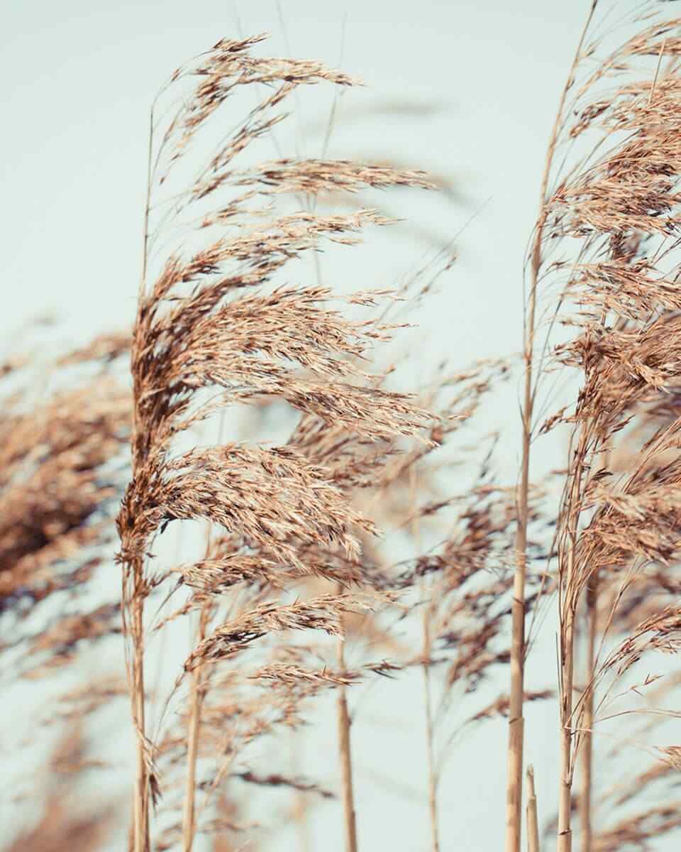 https://asttrodoq.com/wp-content/uploads/2018/04/post_11-960x1200.jpg